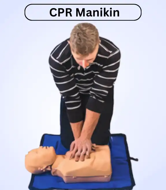 CRP Manikin